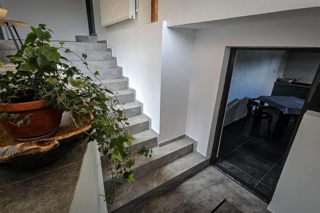 Chalet Dor De Munte Predeal Exterior foto